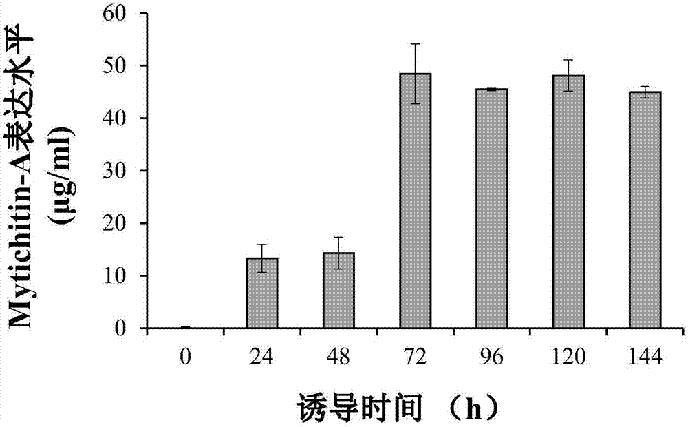 High efficient preparation of novel antimicrobial peptide Mytichitin-A in pichia pastoris