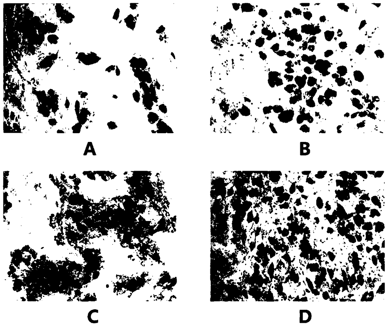 Method for promoting multiplication of adipose-derived stem cells