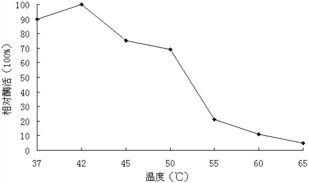 Aspergillus-versicolor-derived alpha-galactosidase Z-GALC, and coding gene and application thereof