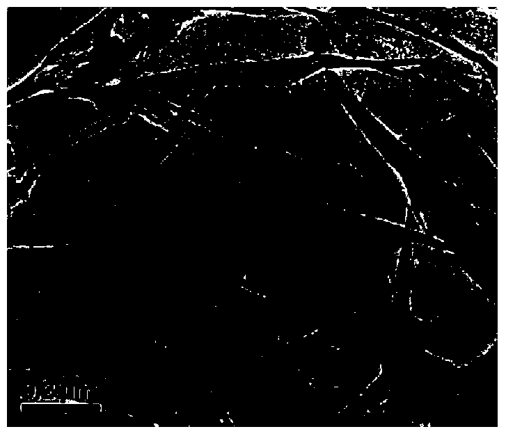 A kind of method using anthracite as raw material to prepare graphene