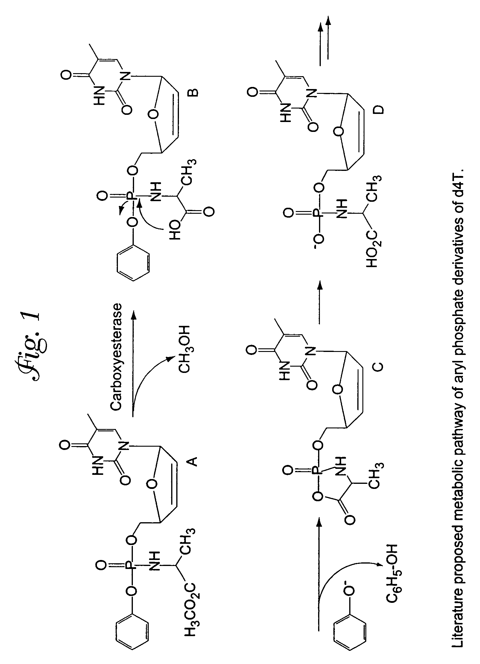 Aryl phosphate derivatives of AZT having anti-HIV activity