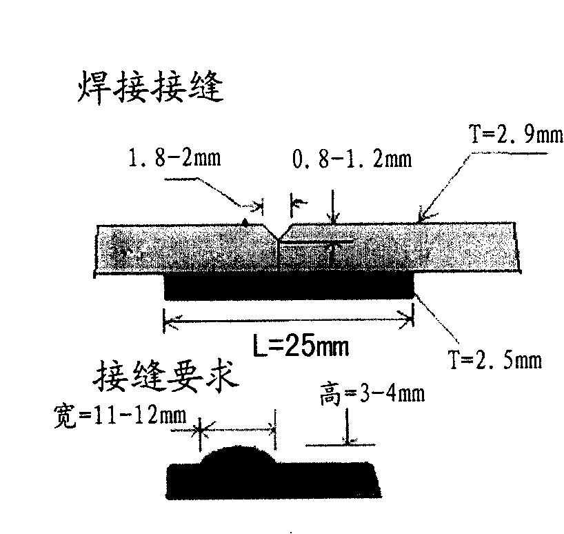 Twin-wire melting pole gas shielded welding torch and welding method