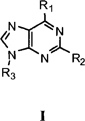 Imidazolopyrimidine analogs and their use as pi3 kinase and mtor inhibitors