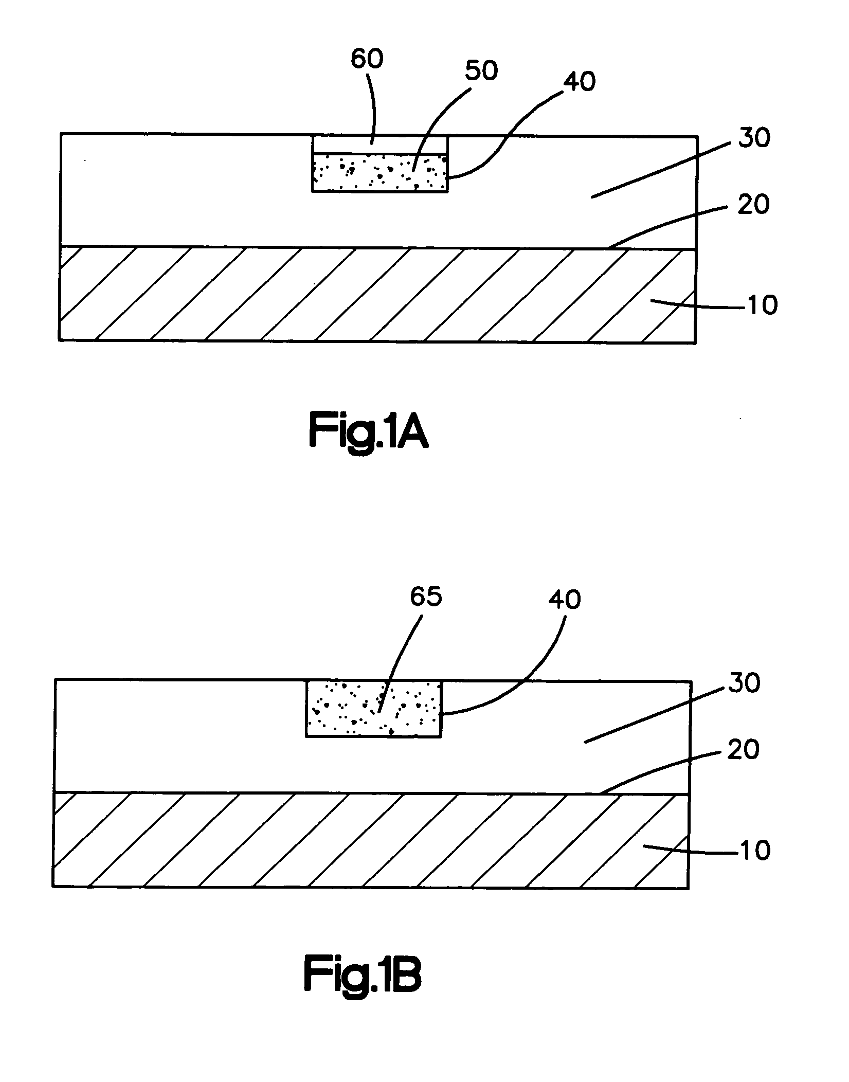 Coated medical device and method for making the same