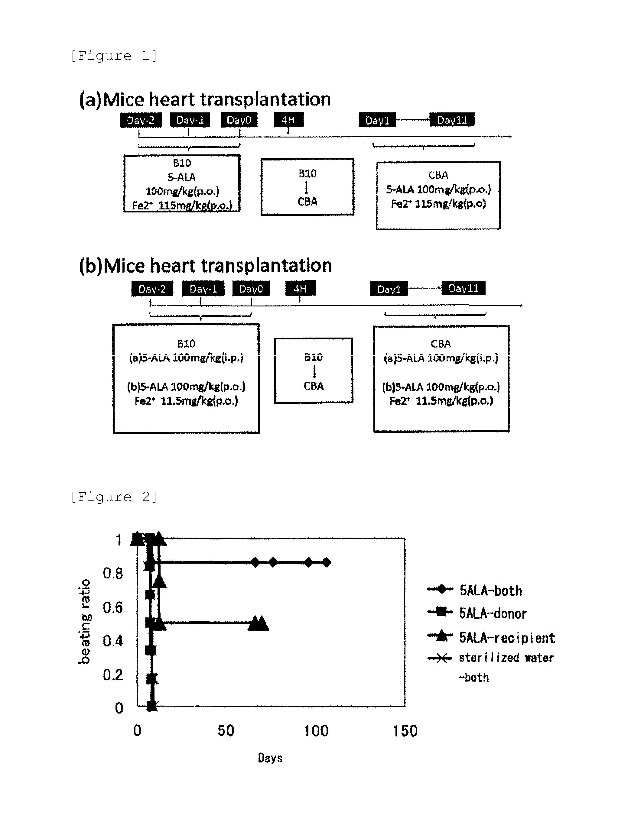 Enhancer of survival of transplanted organ