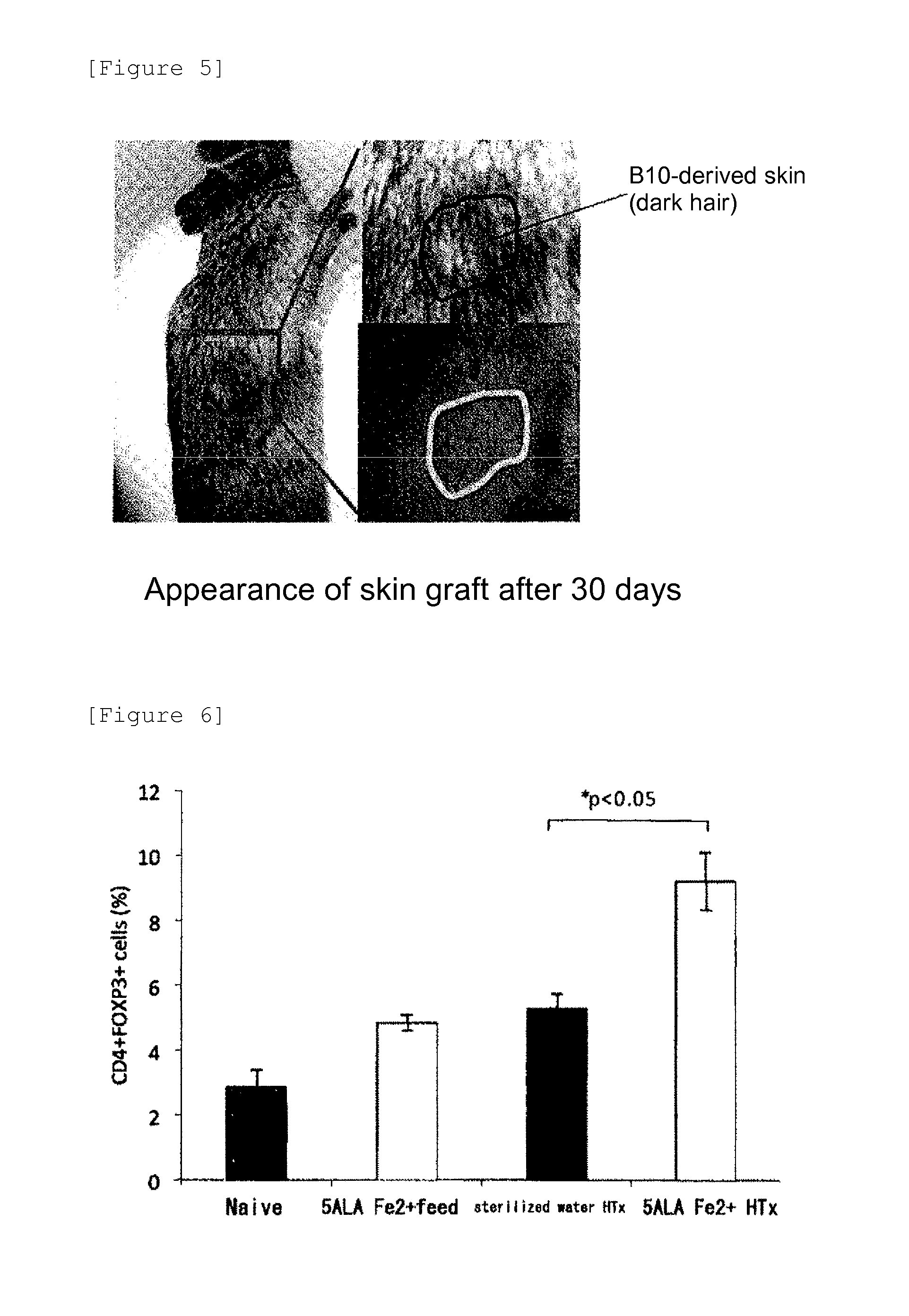 Enhancer of survival of transplanted organ