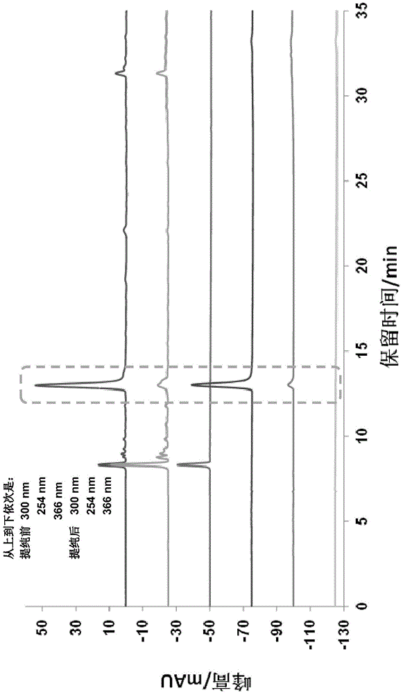 Preparation method of monoamine oxidase inhibitor