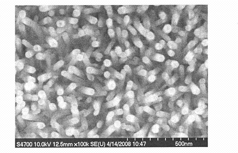 Composite micro-nano structure array on high light-transmission substrate and method and application thereof