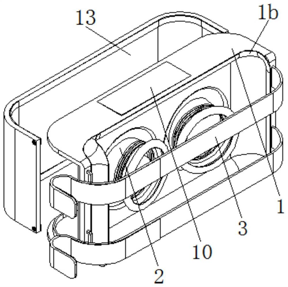 Mastitis conditioning device