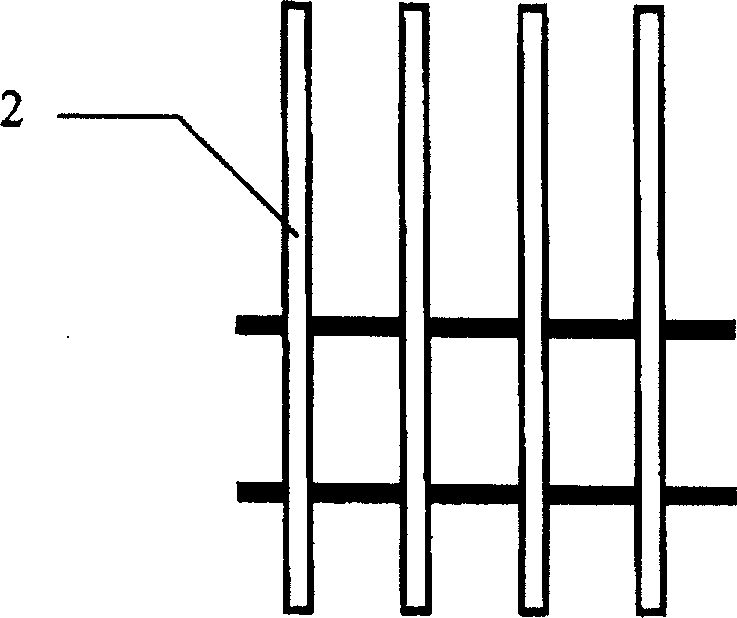 Multiple electrode array and manufacturing method