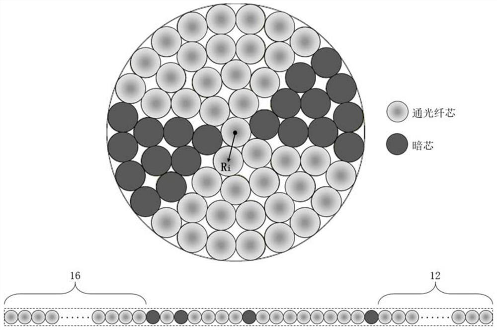 Spatial offset Raman spectrum detection system