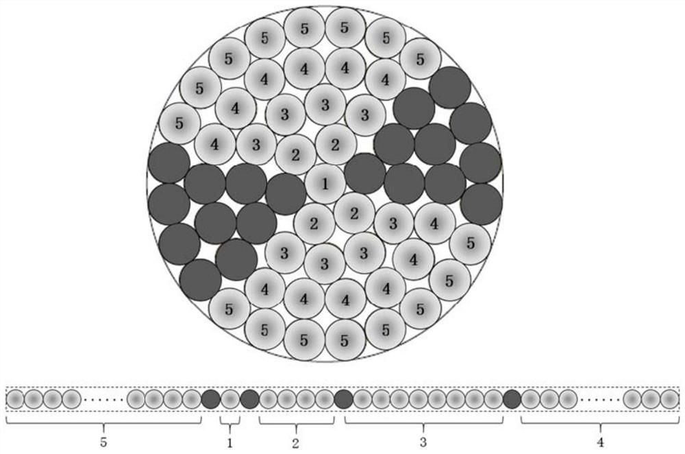 Spatial offset Raman spectrum detection system