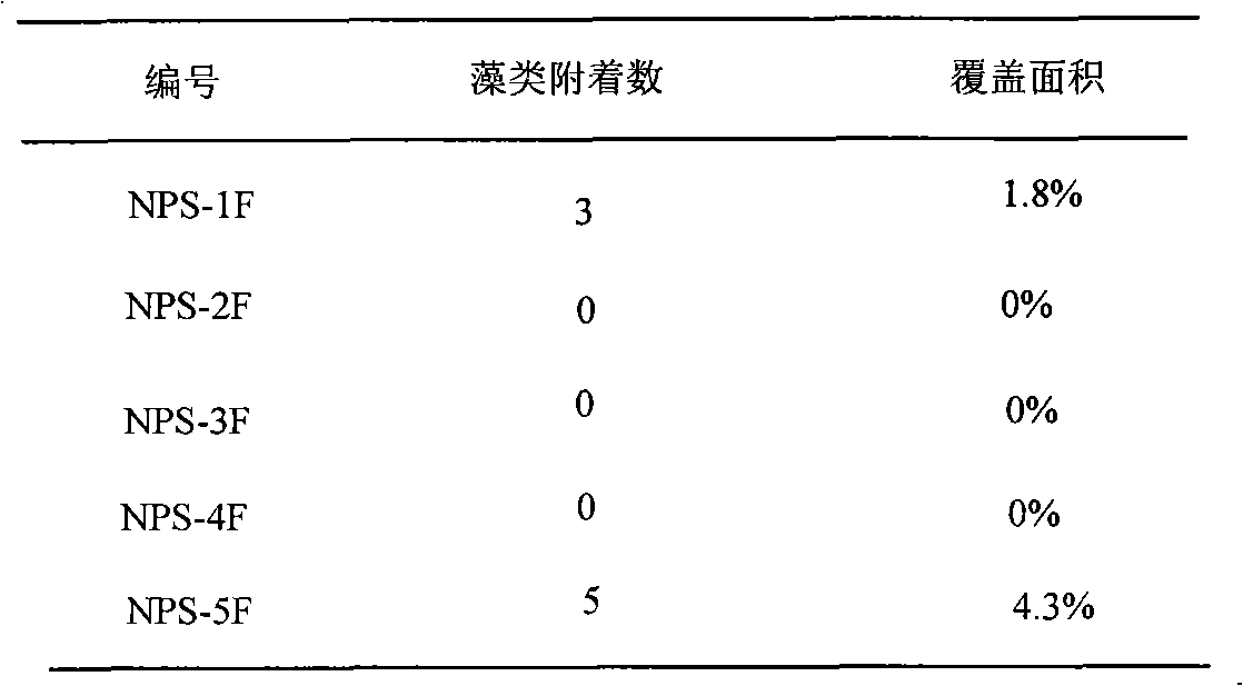 Ocean antifouling paint and preparation method thereof