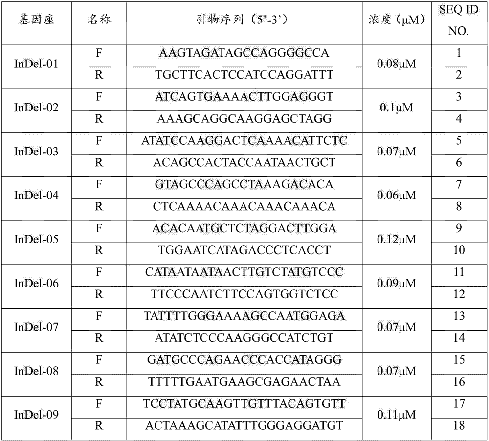 Compound amplification kit for InDel genetic polymorphic sites of human euchromosome and Y chromosome and application thereof