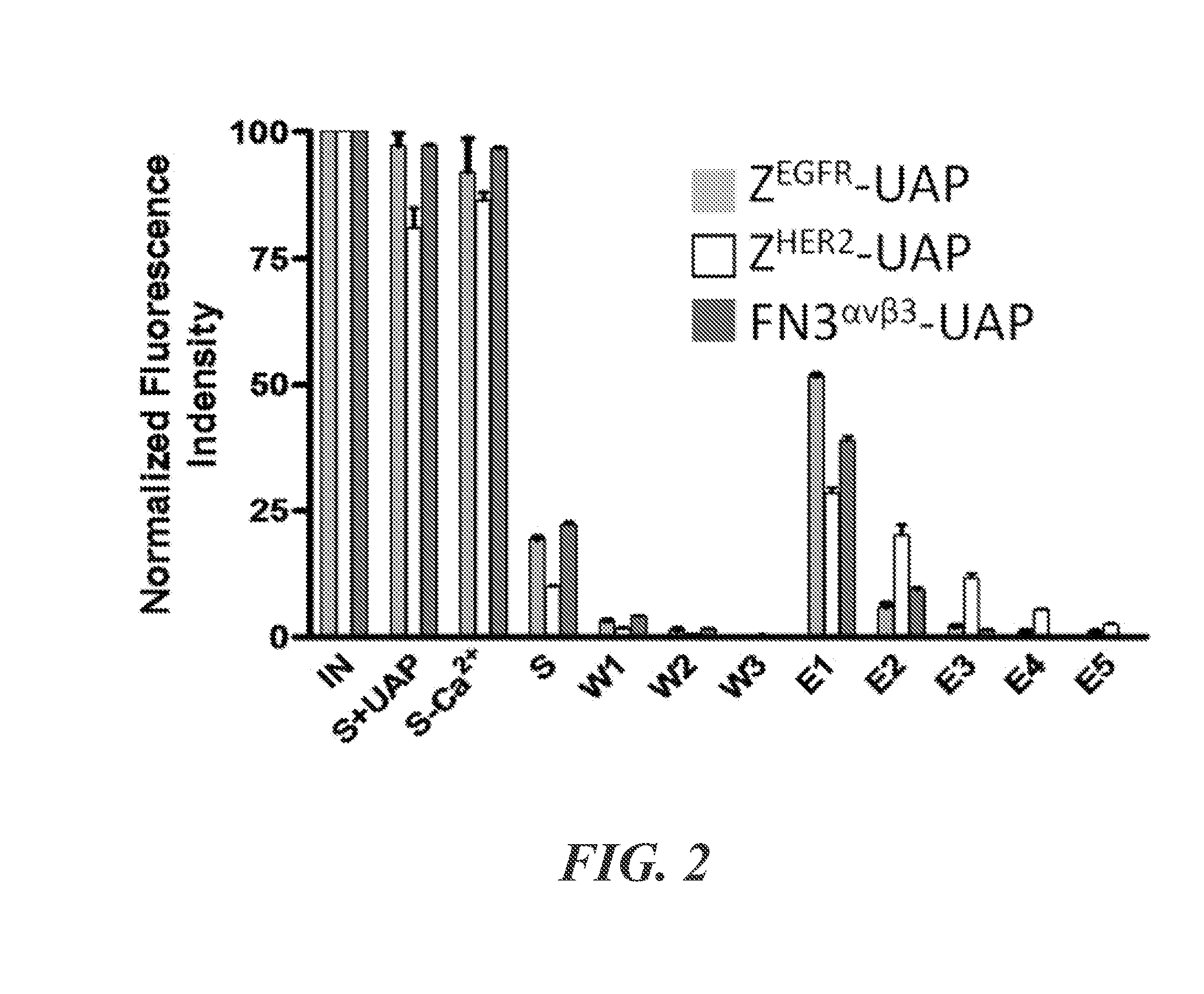 Methods and compositions for self-assembly system of nanoparticles and microparticles for multi-targeting specificity