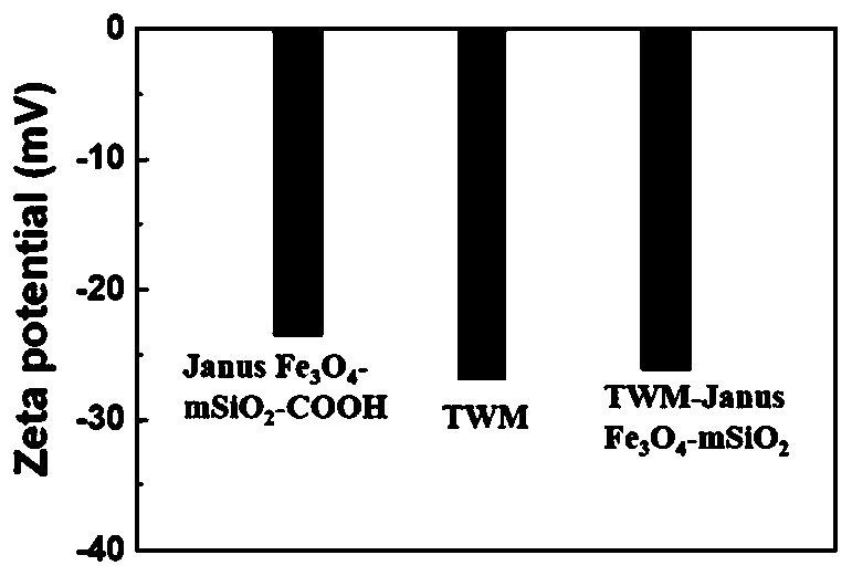 Bionic Janus magnetic-mesoporous silica nanoparticle for specific capture of CTCs, and preparation method and application