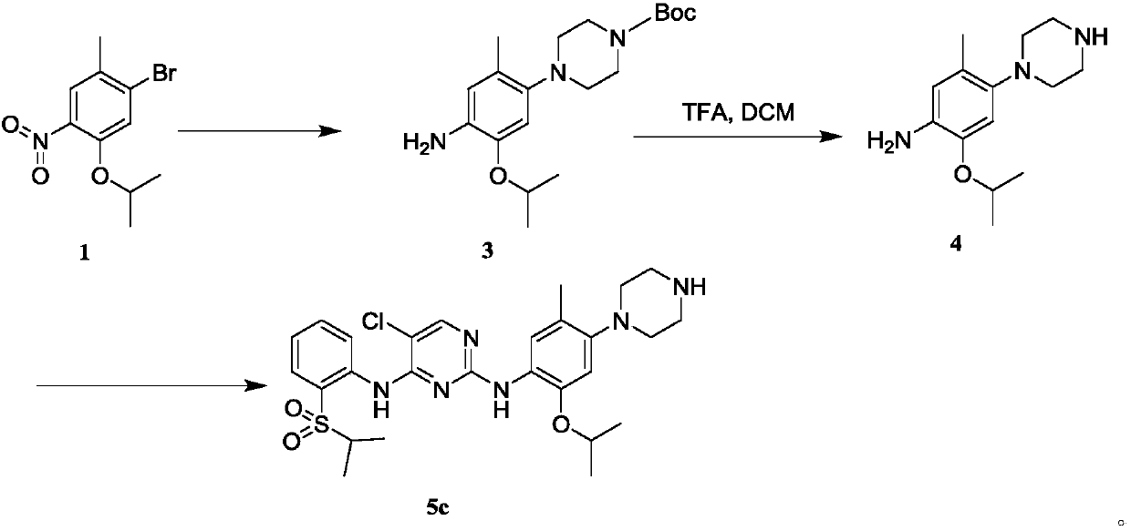 Application of pyrimidine small-molecule compounds in preparation of drugs with mycobacterium resistance