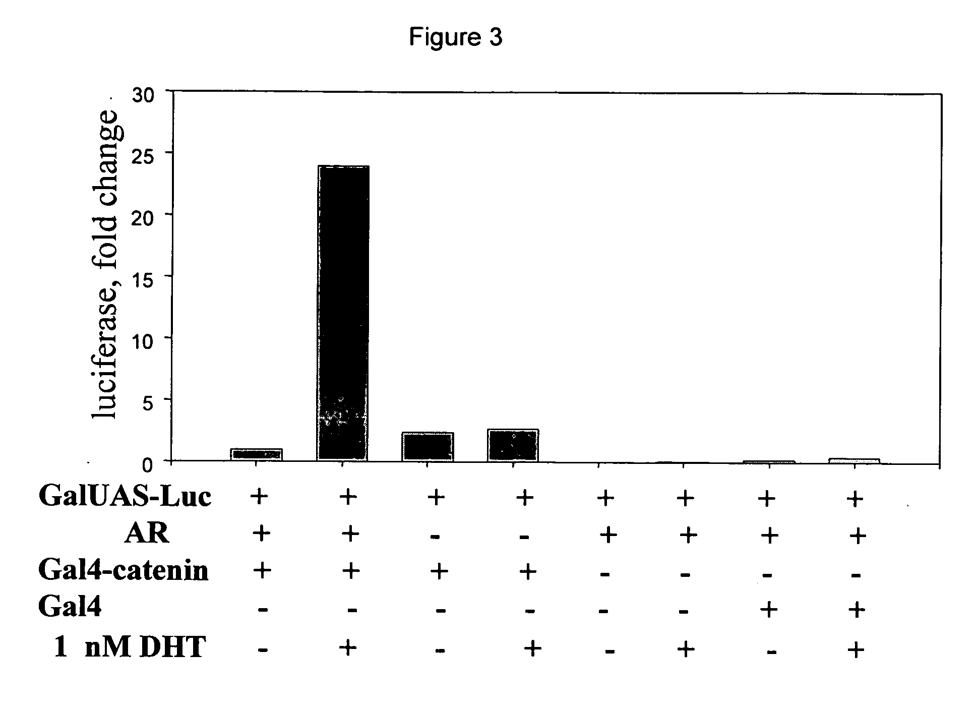 Method of identifying compounds that modulate interaction of androgen receptor with beta-catenin