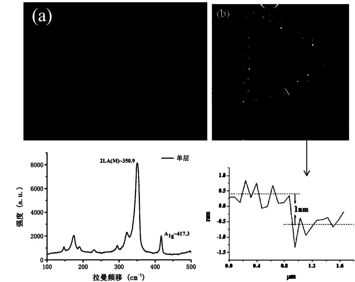 Preparation method for large-area single-layer tungsten disulfide film based on atmospheric pressure chemical vapor deposition and product