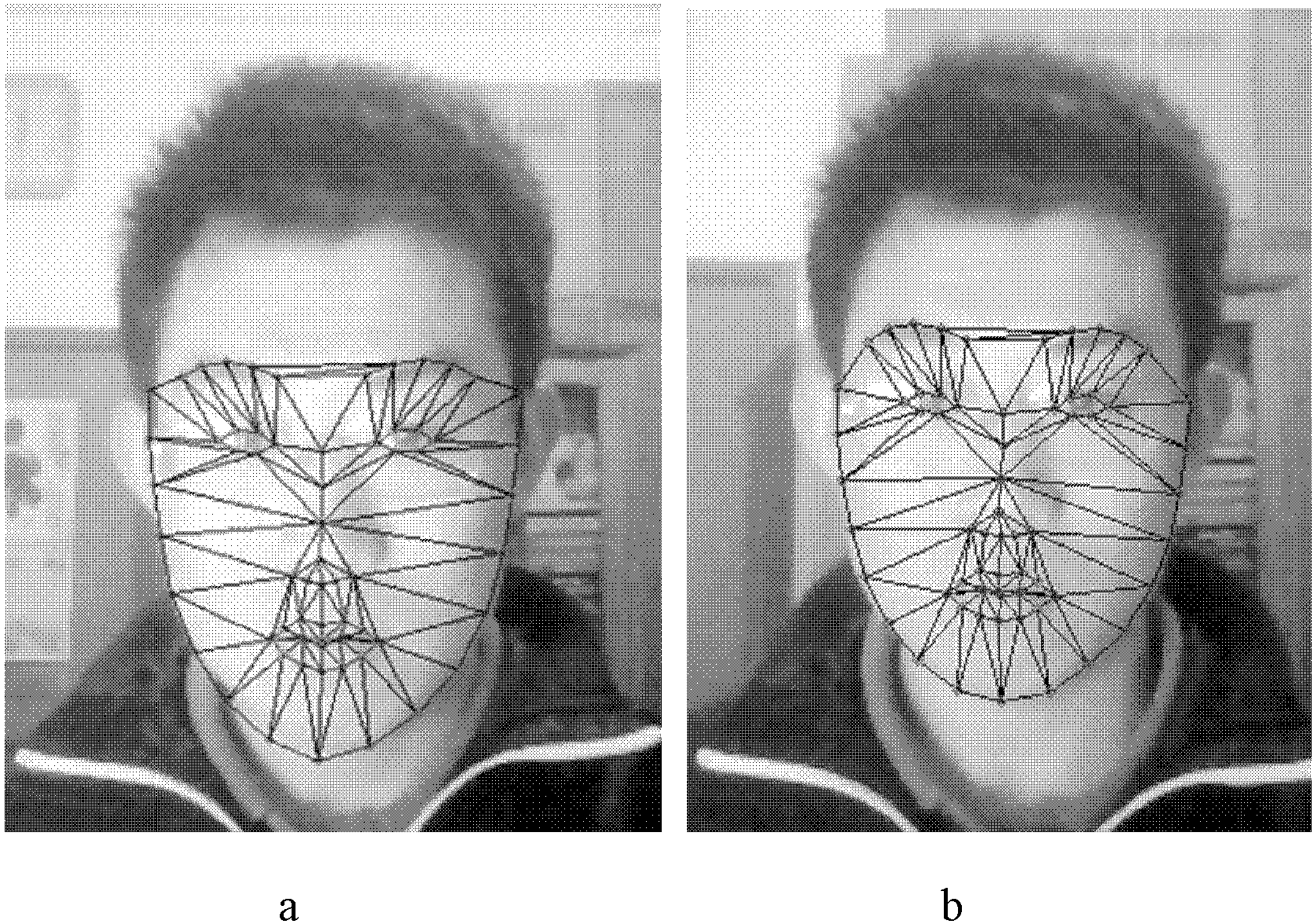 Feature and model mutual matching face tracking method based on increment principal component analysis