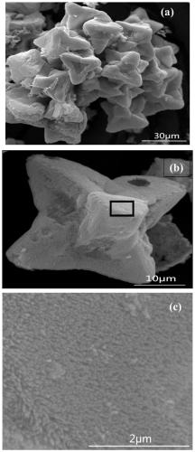 Preparation method and application of pentagonal-pyramid-shaped SnO2 nano-ordered array hierarchical configuration structure nano material