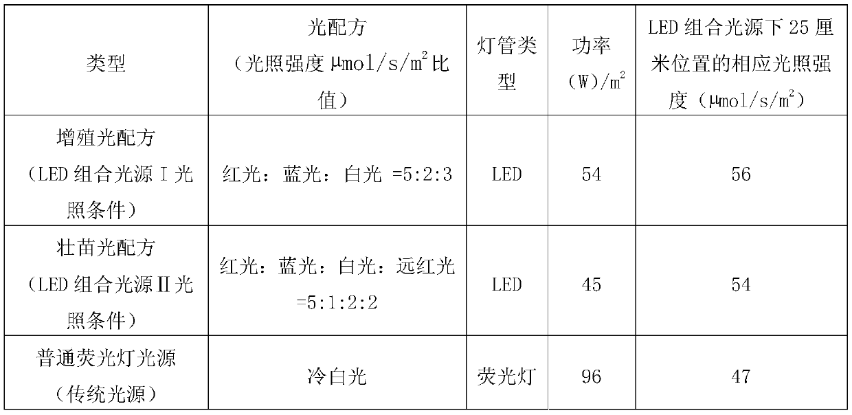 A kind of large-scale production method of Gypsophila plug seedlings