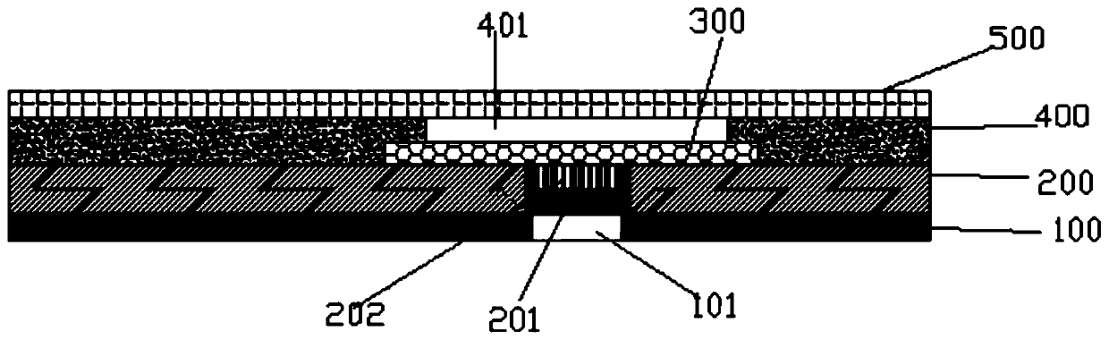 Test strip for detecting lactic acid and preparation method thereof