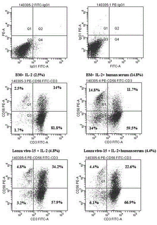 Clinical applicable culture system for efficient amplification of NK cells