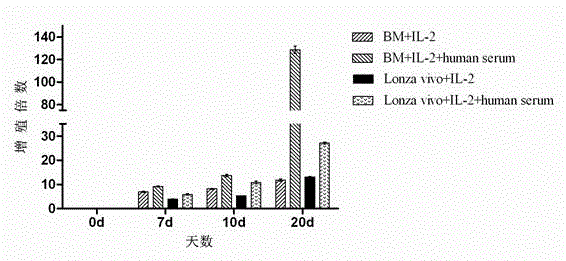 Clinical applicable culture system for efficient amplification of NK cells