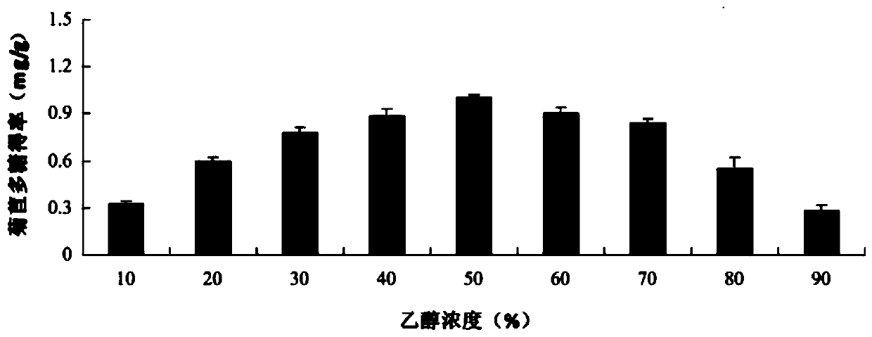 Chicory polysaccharide as well as extraction process and application thereof