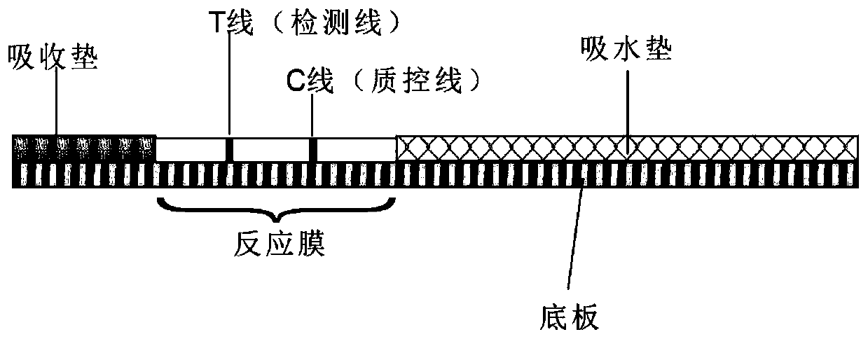 Zopiclone hapten, antigen, antibody, colloidal gold chromatography detection device and application thereof