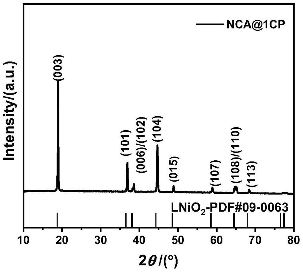 Calcium phosphate coated high-nickel ternary positive electrode material as well as preparation method and application thereof
