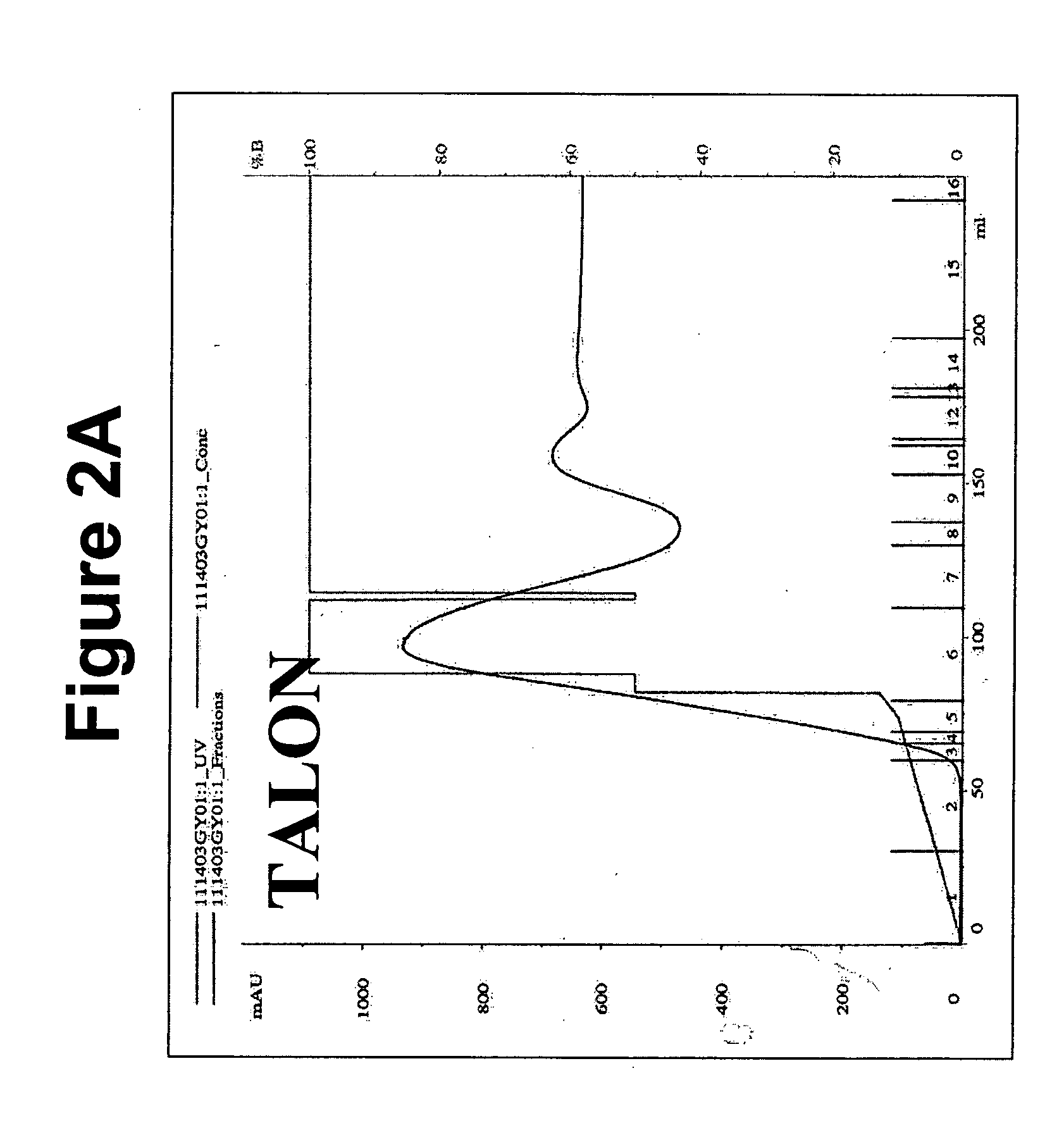 Compositions and methods of purifying myelin-associated glycoprotein (MAG)