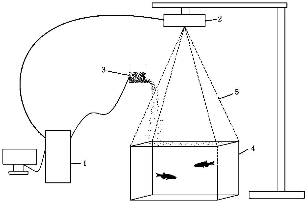 Intelligent feeding system and method based on fish feed consumption