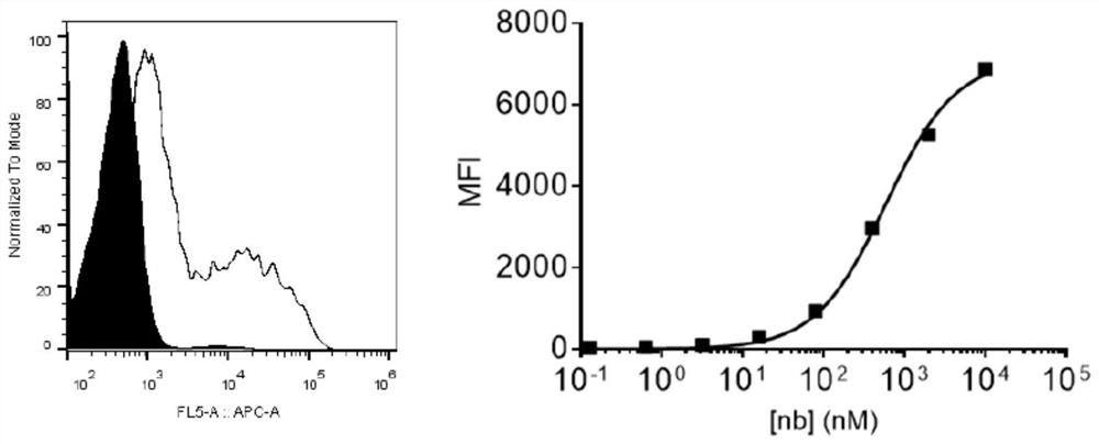 Specific antibody of new coronavirus S protein RBD region as well as preparation method and application of specific antibody