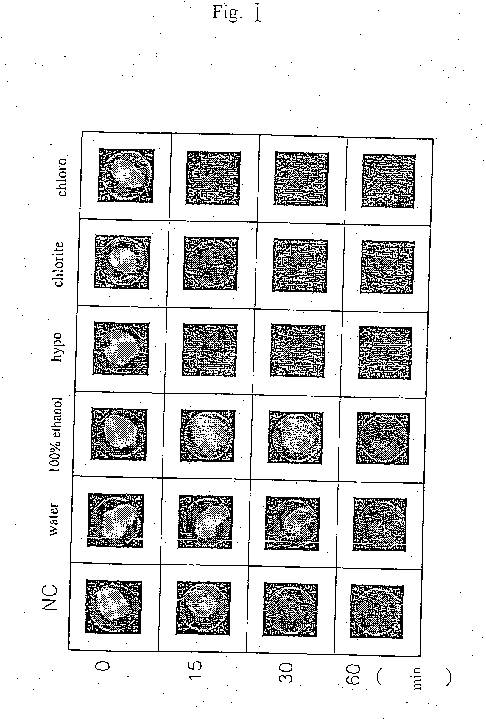 Agent and a method for removing ethidium bromide in a waste solution