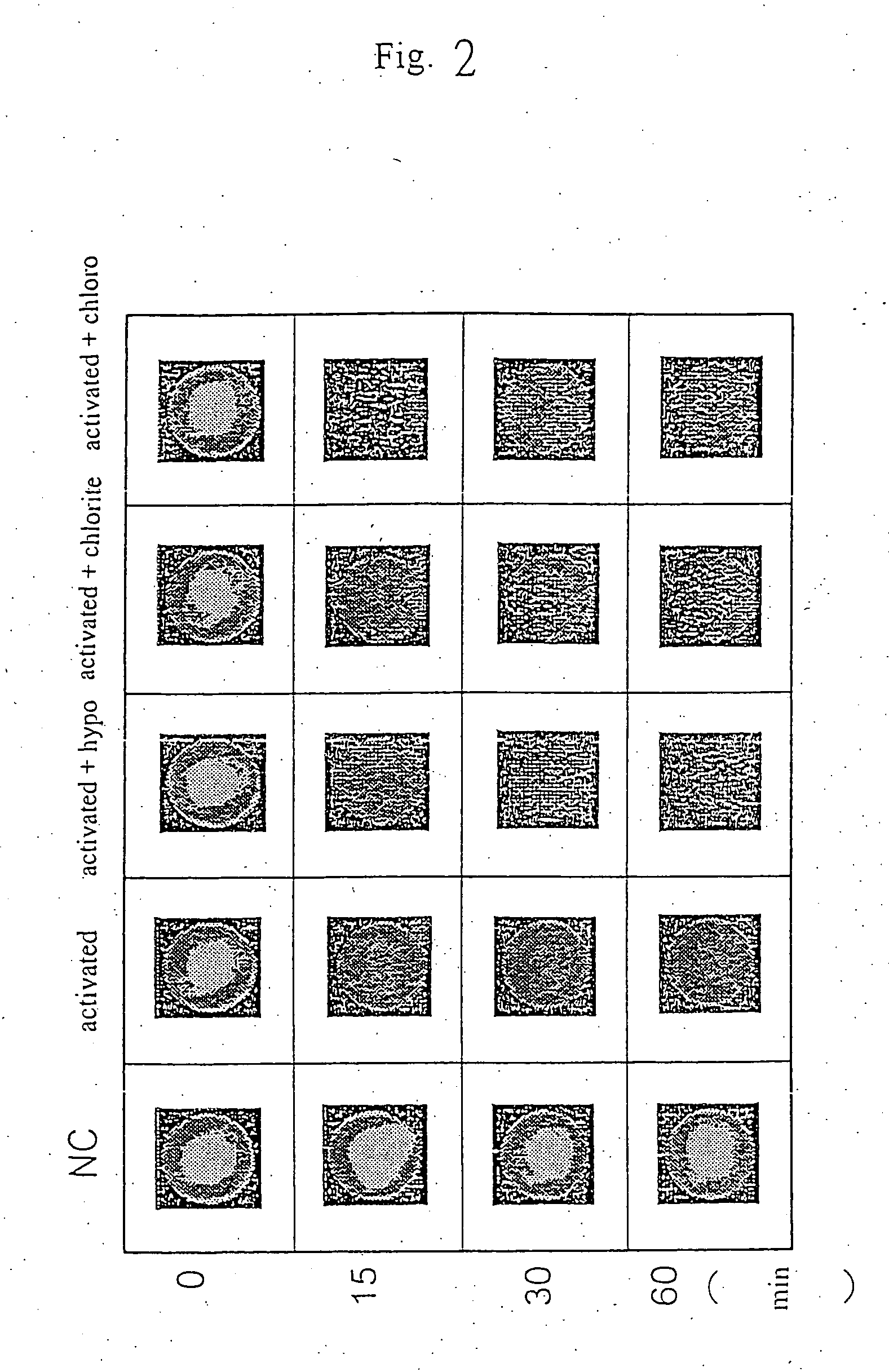 Agent and a method for removing ethidium bromide in a waste solution