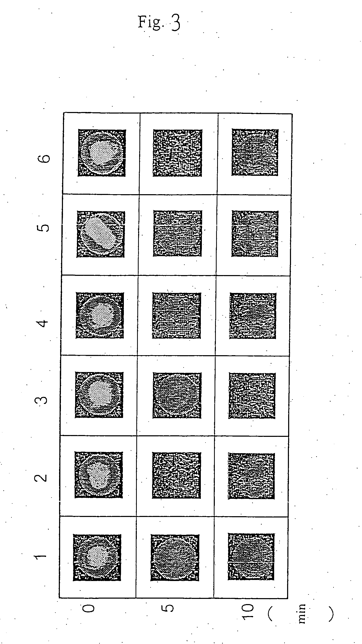 Agent and a method for removing ethidium bromide in a waste solution