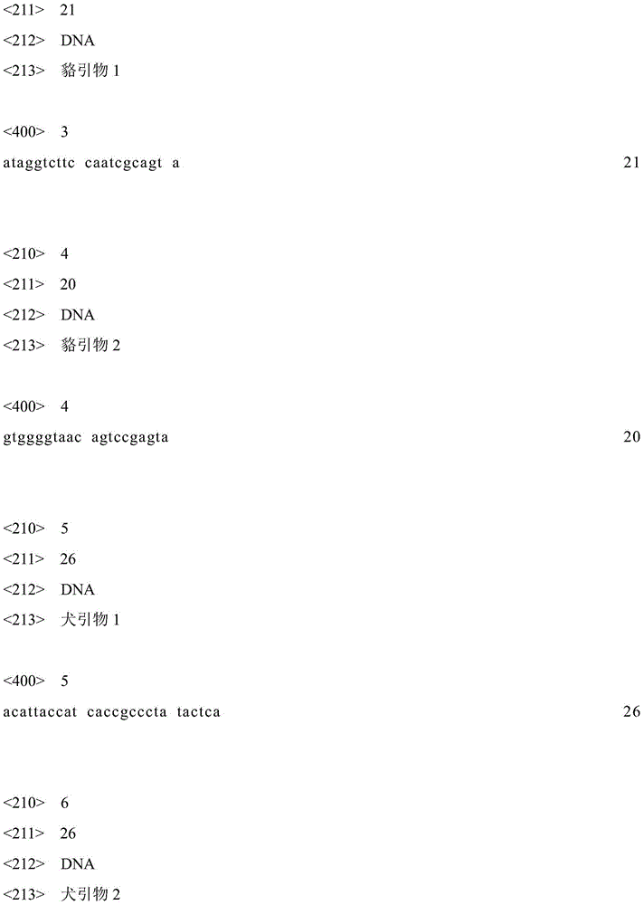 A Primer Set for Simultaneously Detecting Species Components of Blue Fox, Raccoon and Dog and Its Application