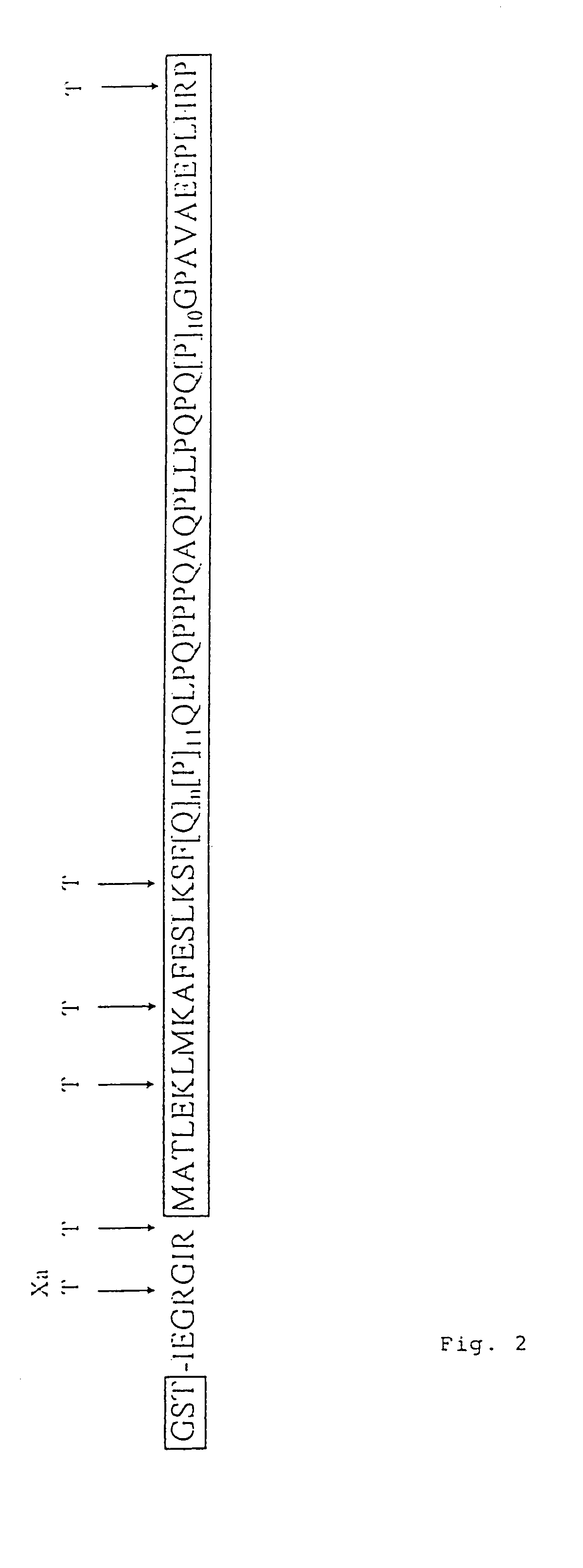 Composition and method for the detection of diseases associated with amyloid-like fibril or protein aggregate formation