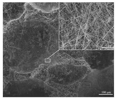 A nanowire self-reinforced porous silicon nitride ceramic and its preparation method