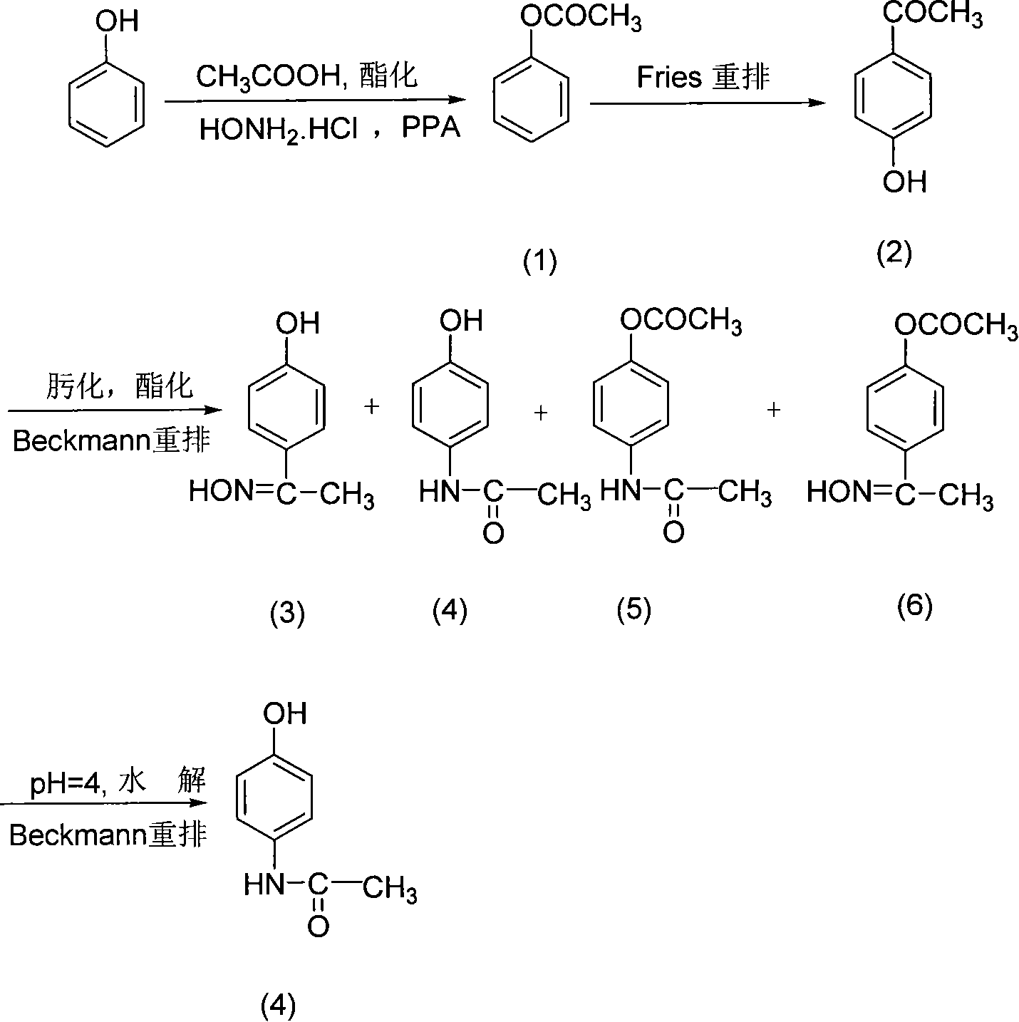 Preparation process of p-acetaminophenol
