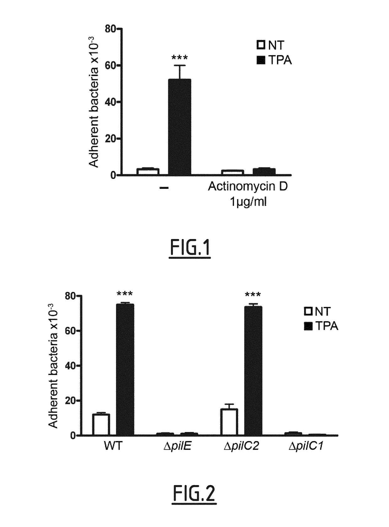 CD147 as receptor for pilus-mediated adhesion of <i>Meningococci </i>to vascular endothelia