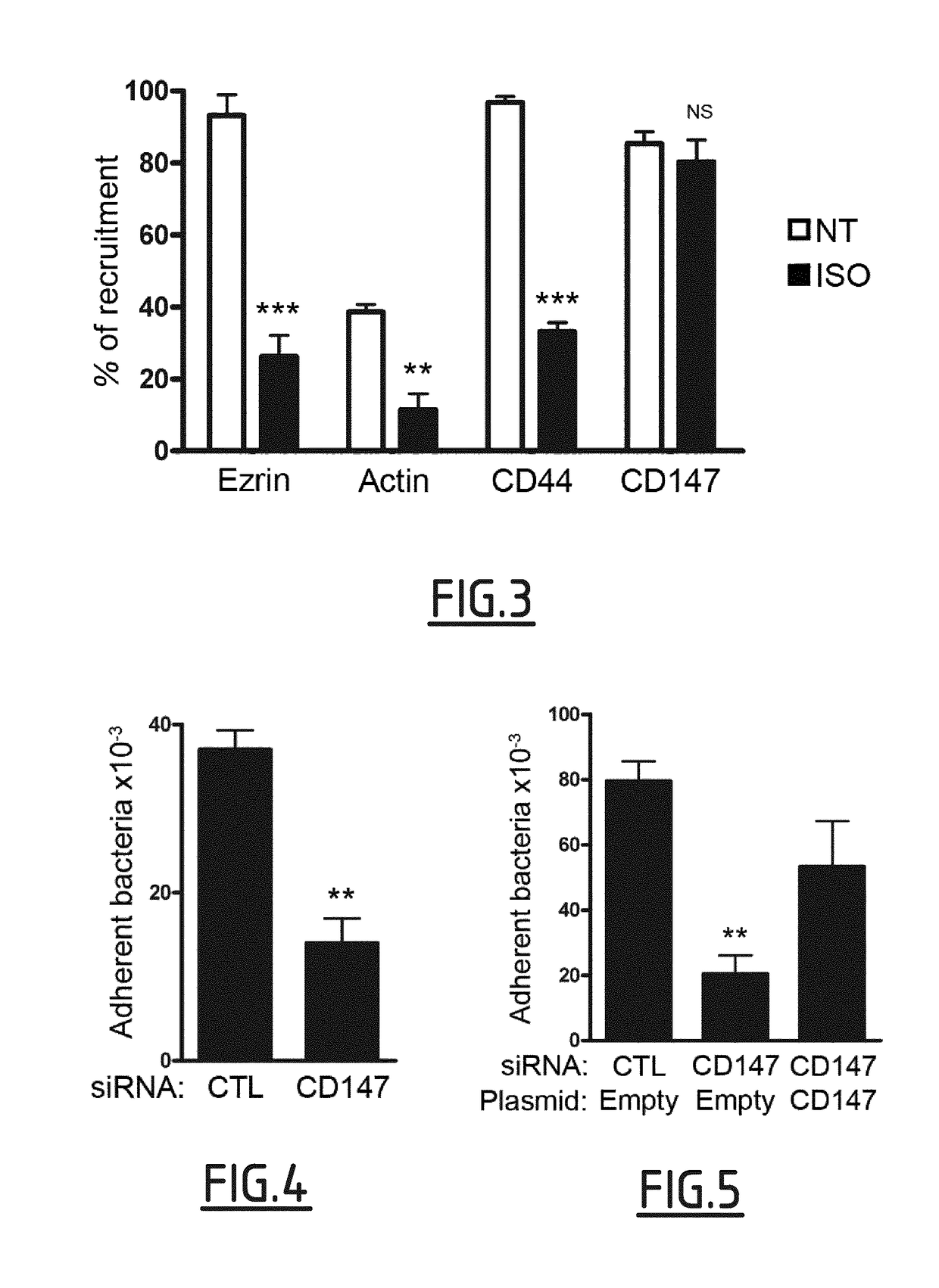 CD147 as receptor for pilus-mediated adhesion of <i>Meningococci </i>to vascular endothelia