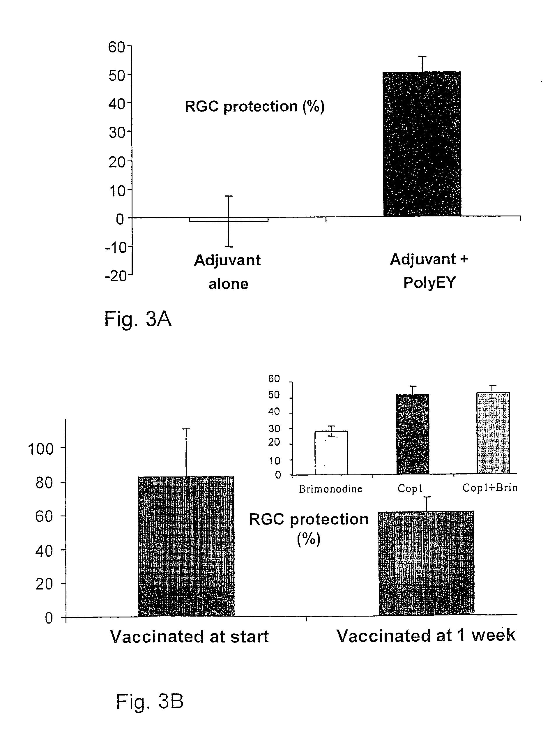 Method for neuronal protection in amyotrophic lateral sclerosis by a vaccine comprising Copolymer-1 or Copolymer-1 related peptides