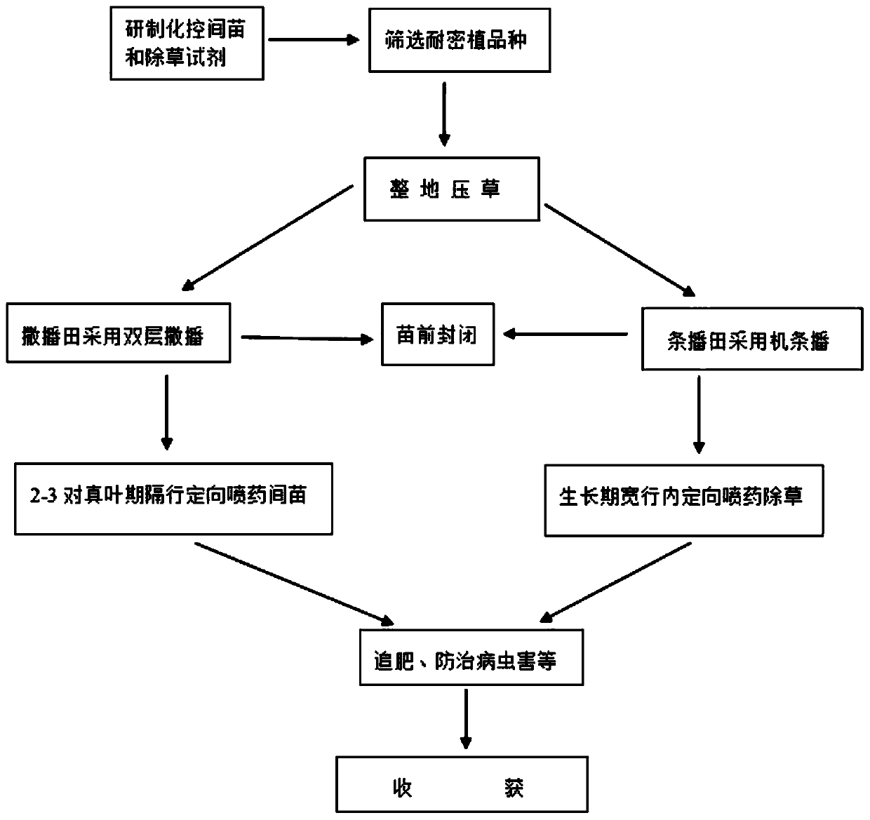 A kind of sesame thinning agent and its application method in sesame planting