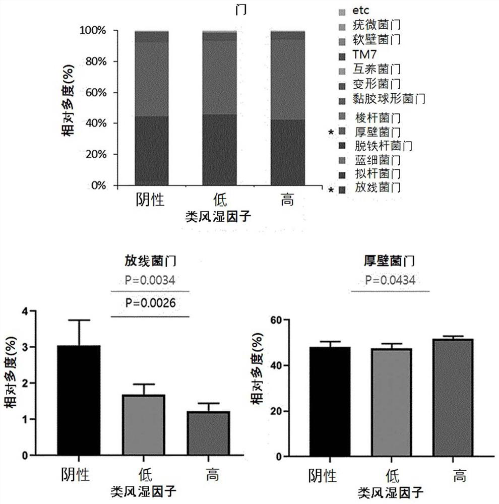 Bifidobacterium lungum rapo strain for alleviation, prevention, or treatment of rheumatoid arthritis and composition comprising same