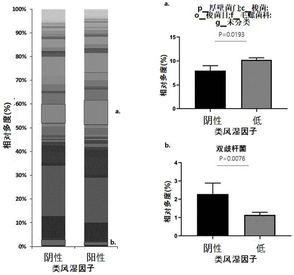 Bifidobacterium lungum rapo strain for alleviation, prevention, or treatment of rheumatoid arthritis and composition comprising same