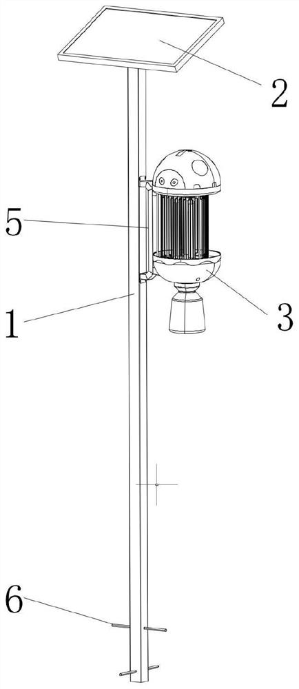 Insecticidal lamp