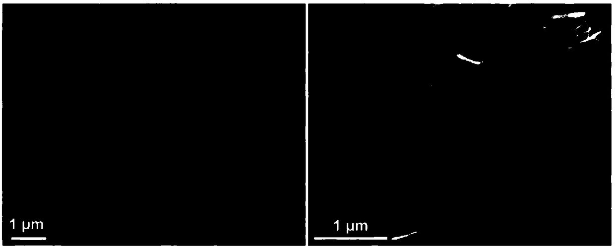 Method for preparing copper sulfide nanosheets and compound thereof by using low-temperature vulcanization technique and application